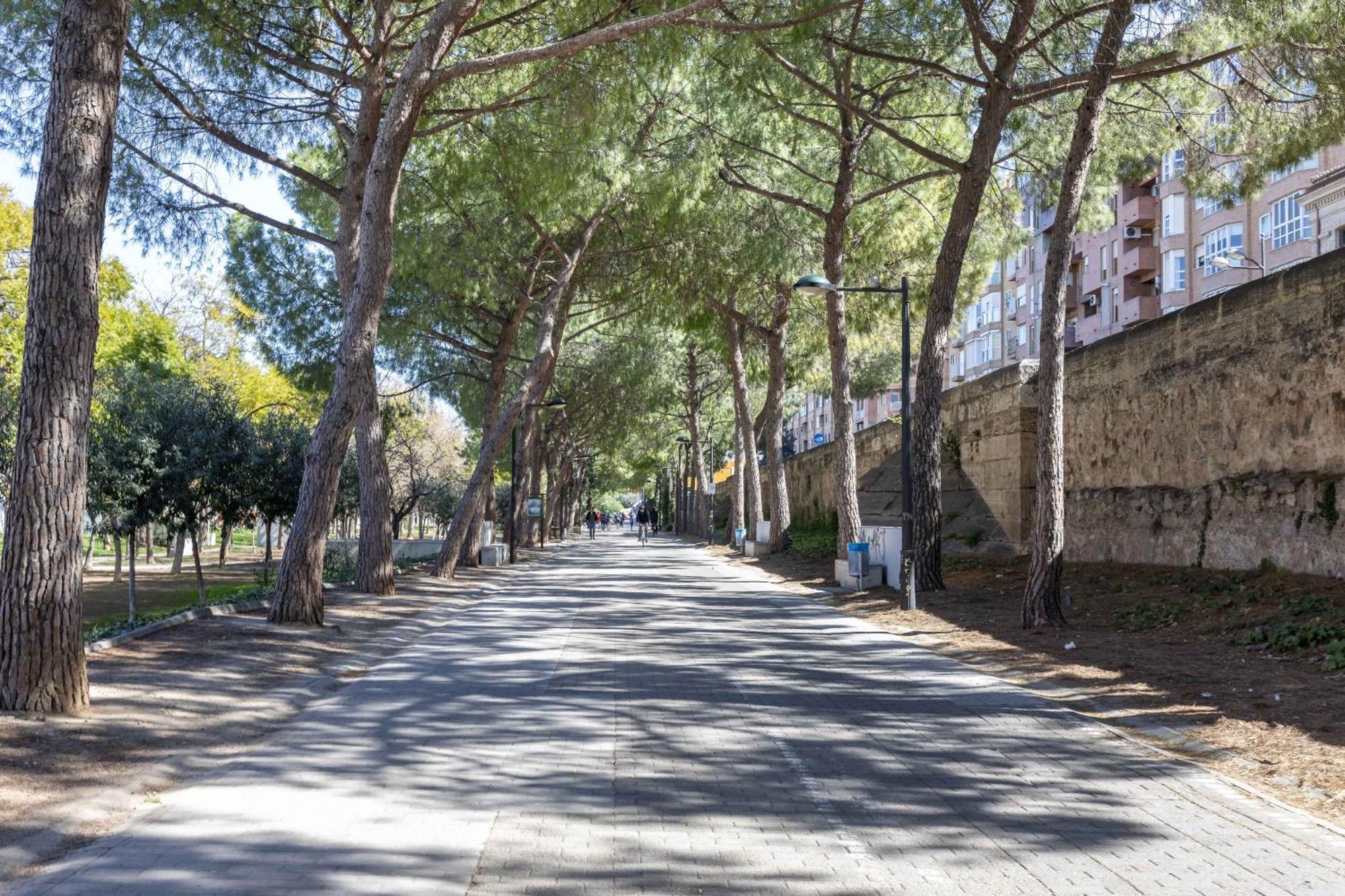 Apartup Turia River Park Valencia Buitenkant foto