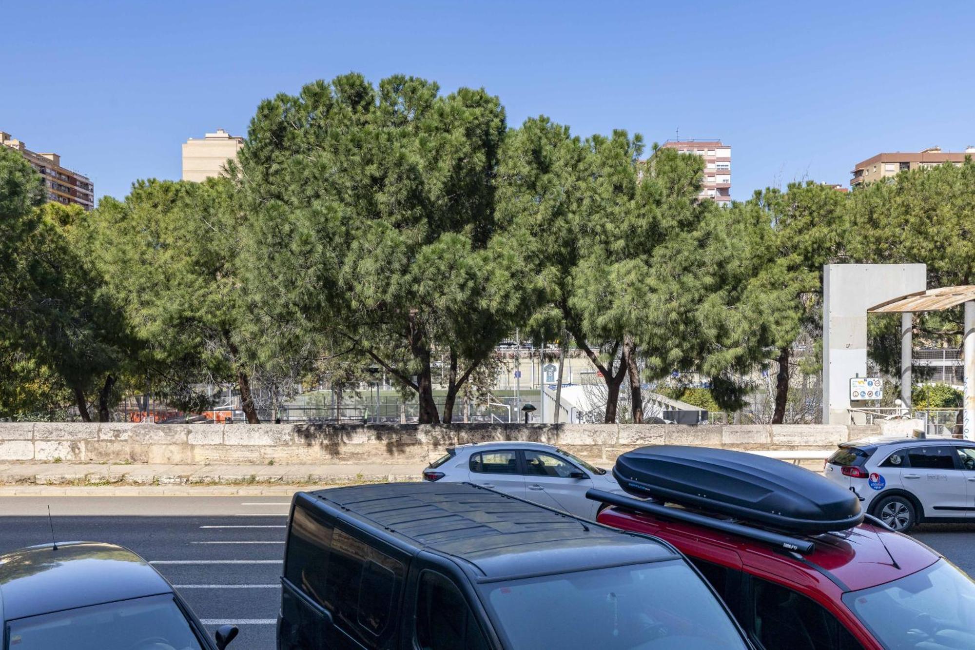 Apartup Turia River Park Valencia Buitenkant foto