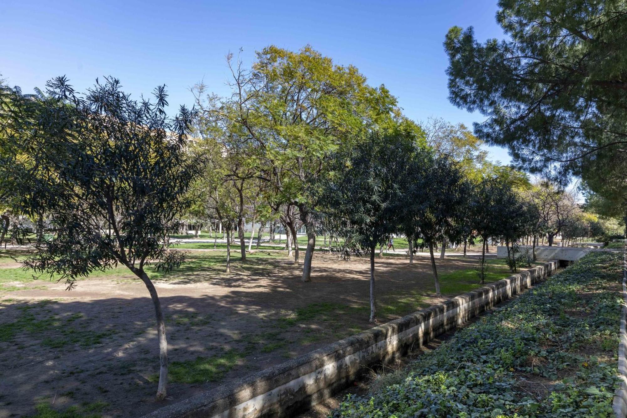 Apartup Turia River Park Valencia Buitenkant foto